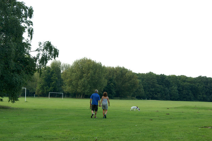 A pair of people walking a dog in a park.